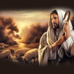One Good Shepherd