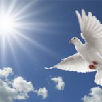 Want Peace?