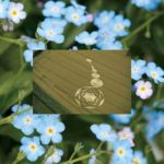 Forget me not...