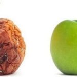 Which of These is Better?