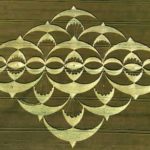 Episode Twenty-Four 12 Birds in Flight We Will Fly Away Three Wise Owl