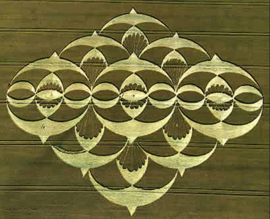 Three Wise Owl's Father Son and Holy Spirit