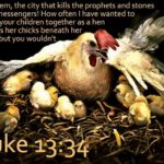The Wings of Jesus by Divine Design. I Found the Other Wing!