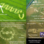 The Characteristics of a Serpent